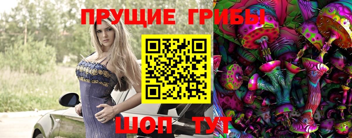 хочу   Псилоцибиновые грибы прущие грибы  Вход с VPN  Черняховск 