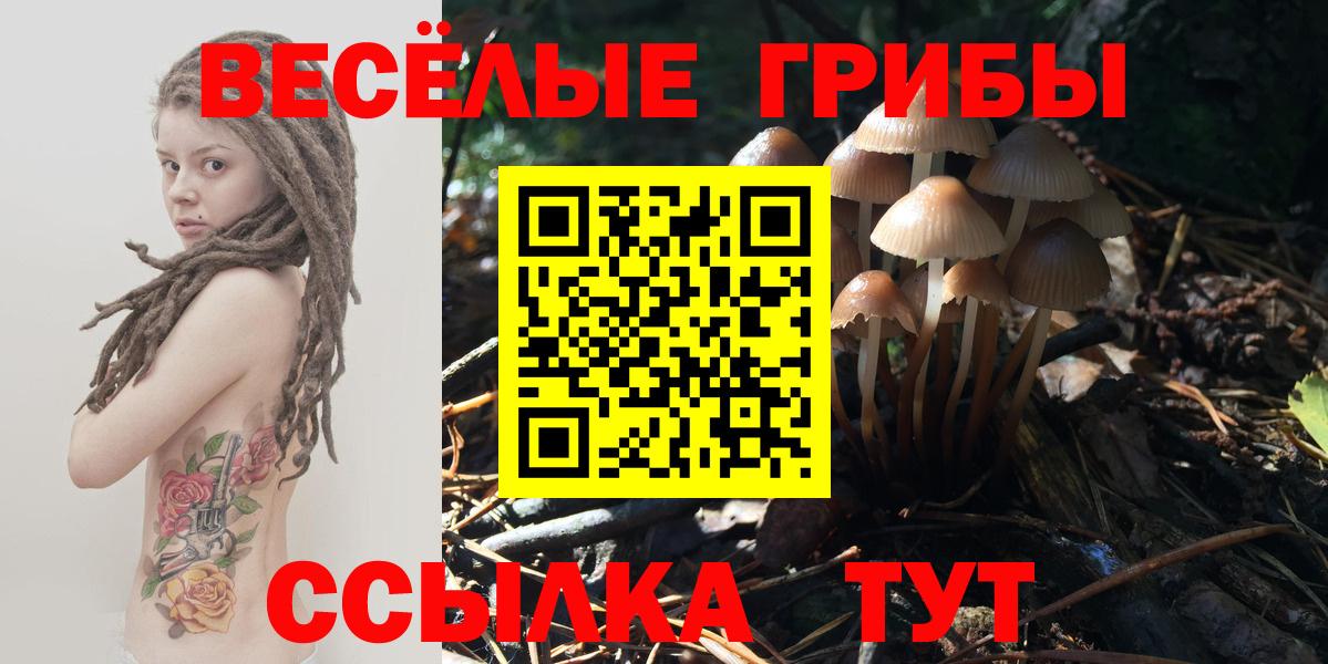 Галлюциногенные грибы ЛСД Черняховск